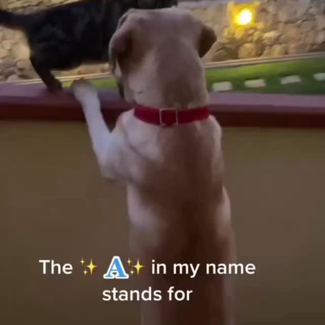  ......ogscute   'recent posts' 