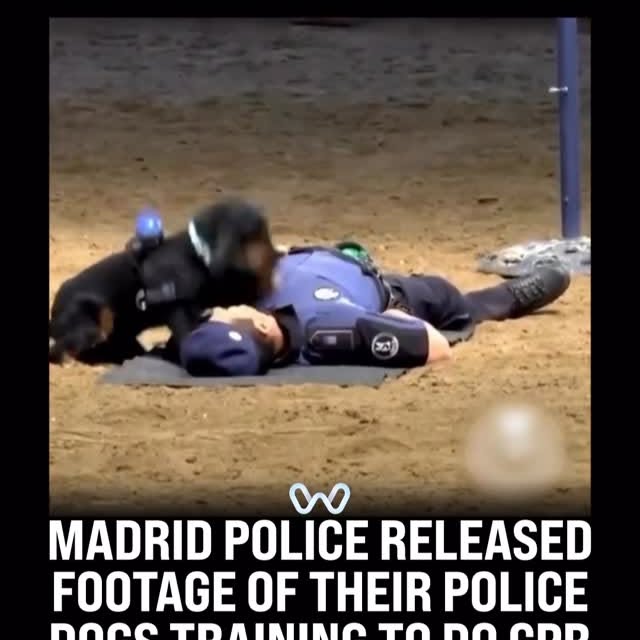  ........alth_club   'recent posts' 