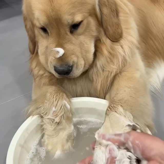  .......page_   'recent posts' 