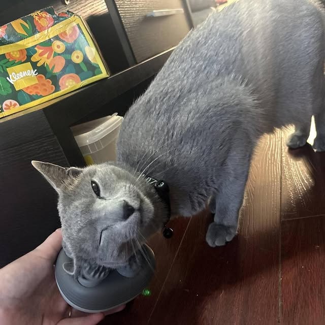  ......n_boris   'recent posts' 