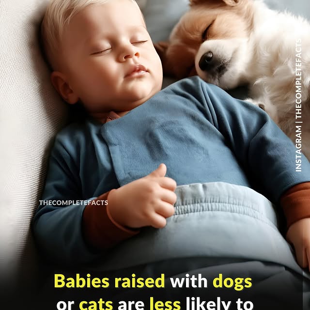  ........etefacts   'recent posts' 