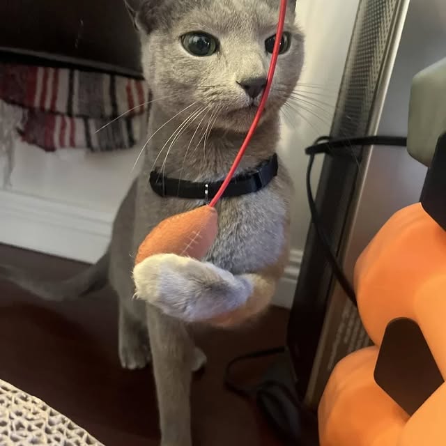  ......n_boris   'recent posts' 