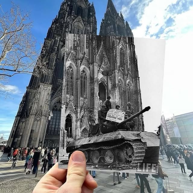  .......rfervor   'recent posts' 