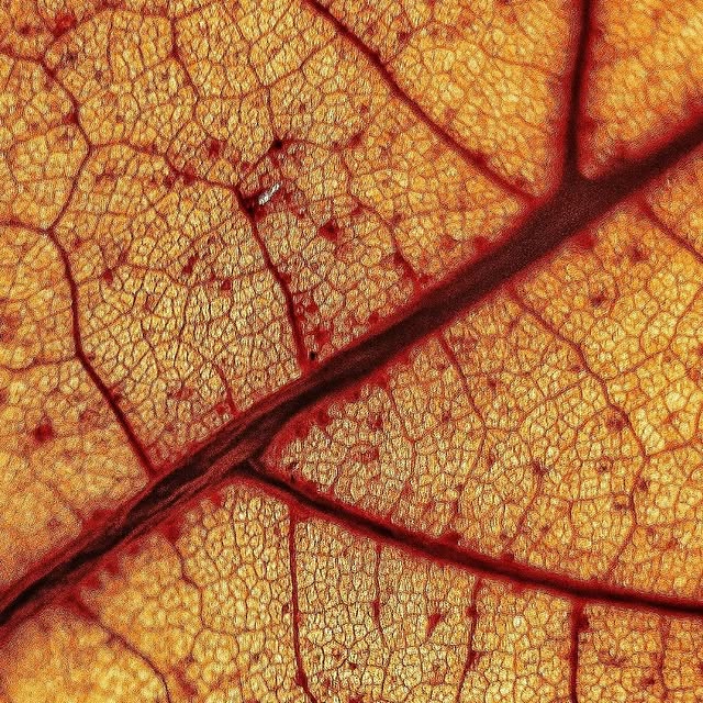  .....nnmon   'recent posts' 