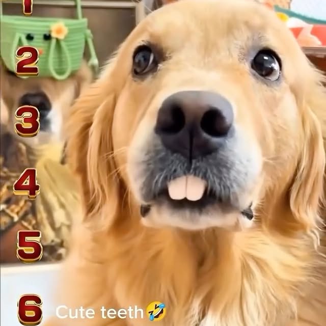  ....fday   'recent posts' 