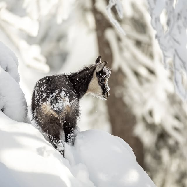  .......avelbook   'recent posts' 