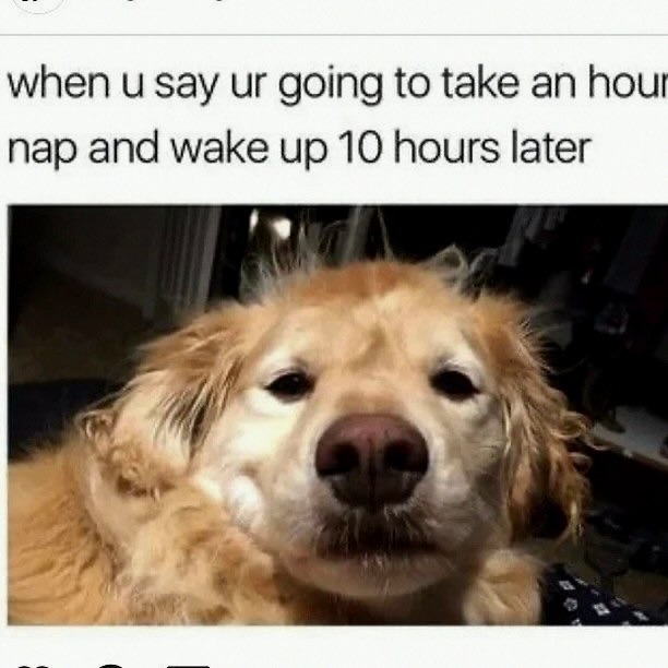  .......ndrulzz   'recent posts' 