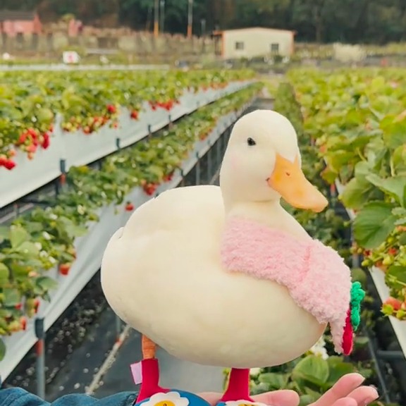  ........ckstatue   'recent posts' 