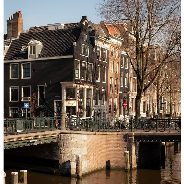  .......amshots   'recent posts' 