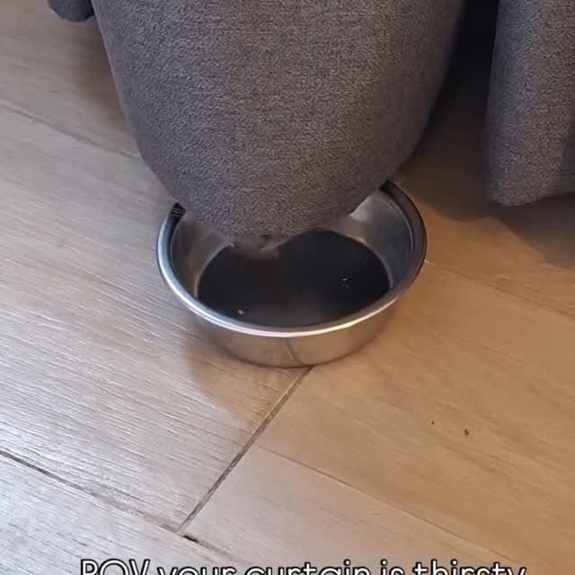  ...........irtonguesout   'recent posts' 