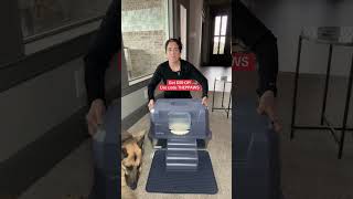  ..........escosolido  'recent videos' 