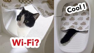  ....usic  'recent videos' 