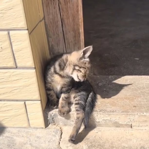  ......e.hacks   'recent posts' 