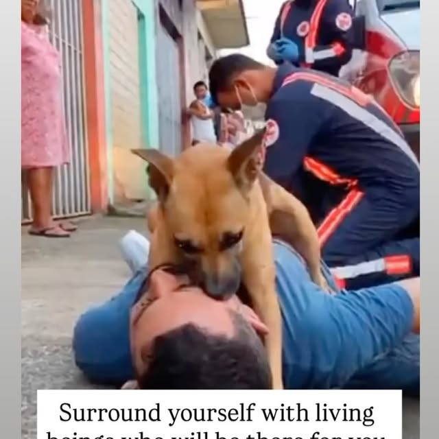  ....s.acc   'recent posts' 