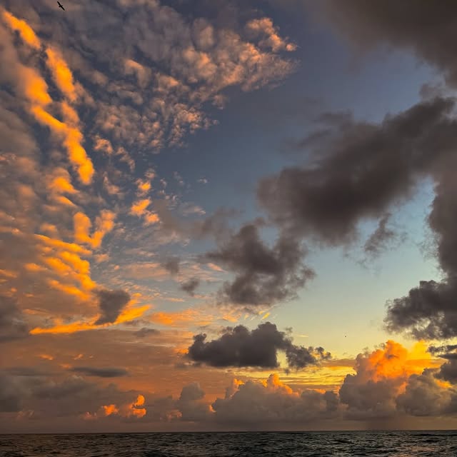  ......sfever   'recent posts' 