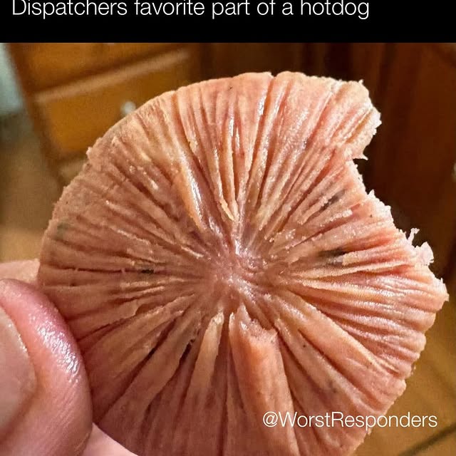  .......sponders   'recent posts' 