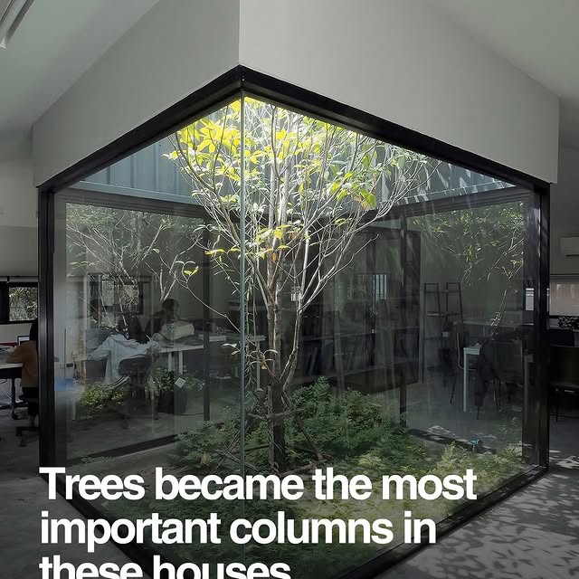  ....dose   'recent posts' 