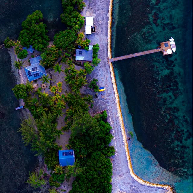  .........elsfaster   'recent posts' 