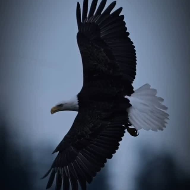  ..........._.journey   'recent posts' 