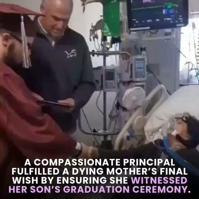  .........terslinked   'recent posts' 