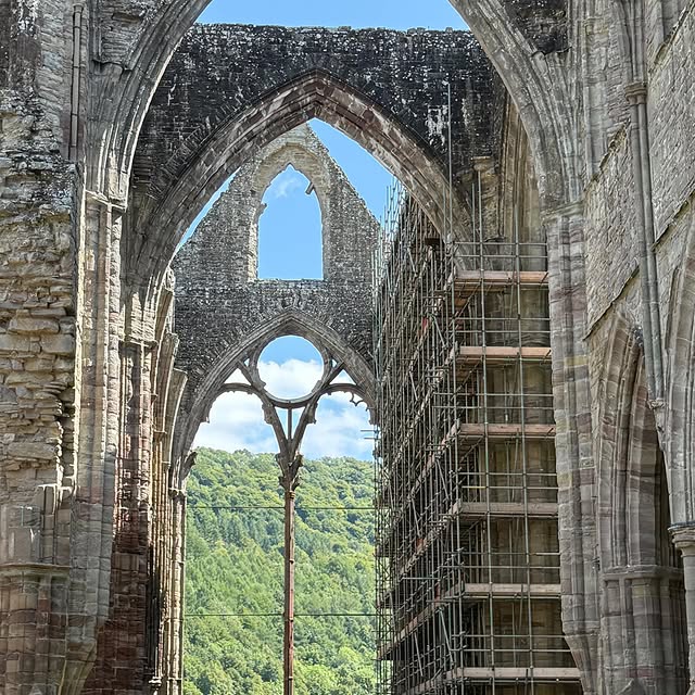  .......sell_luc   'recent posts' 