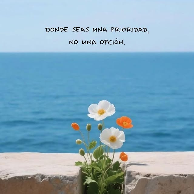  ........nperfecta   'recent posts' 