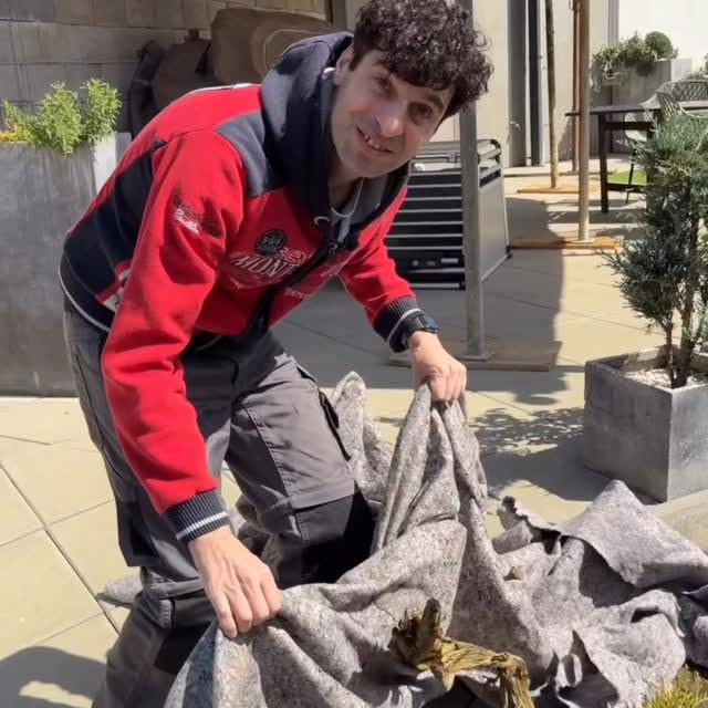  .......ficially   'recent posts' 