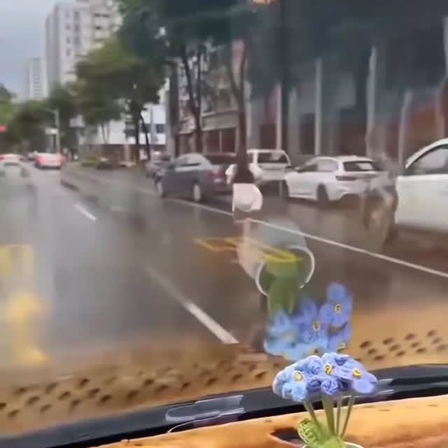  ......imalshq   'recent posts' 