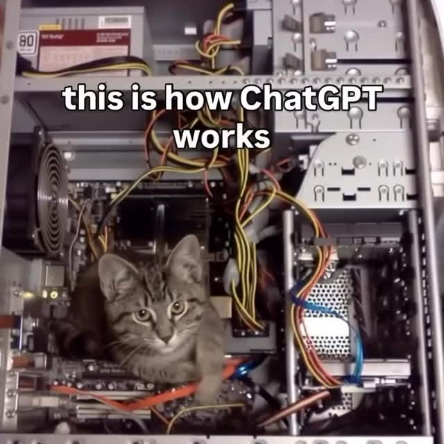  ....eowsy   'recent posts' 