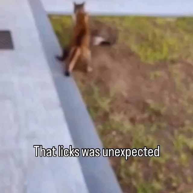  .....li9ht   'recent posts' 