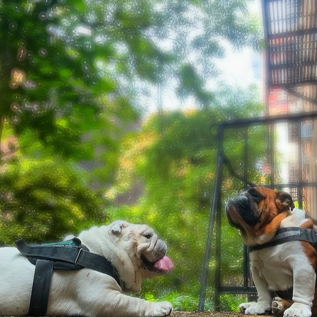  ......rwhite   'recent posts' 