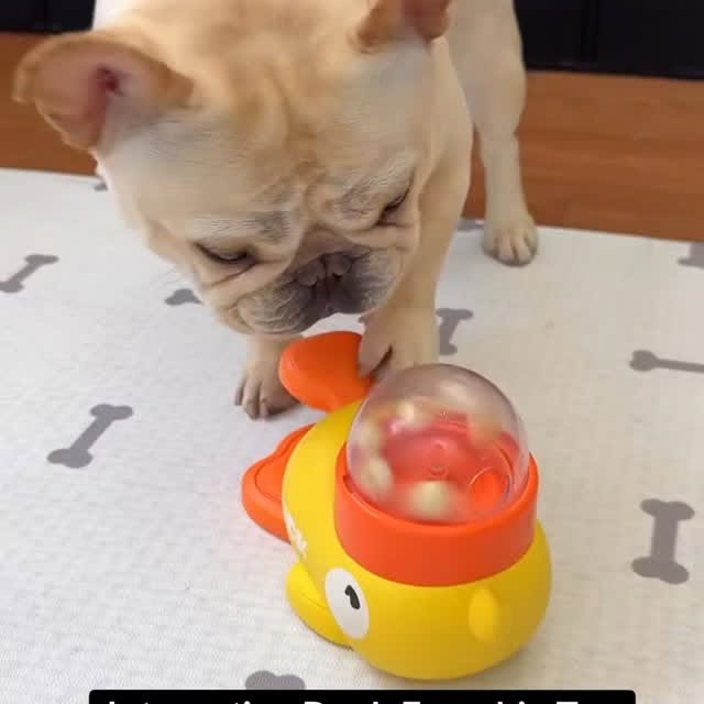  ..........ldogs_only   'recent posts' 