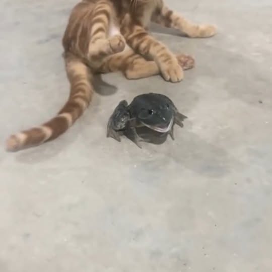  ...........irmouthopen   'recent posts' 