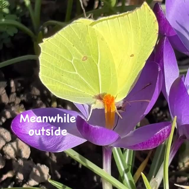  .......na.sees   'recent posts' 