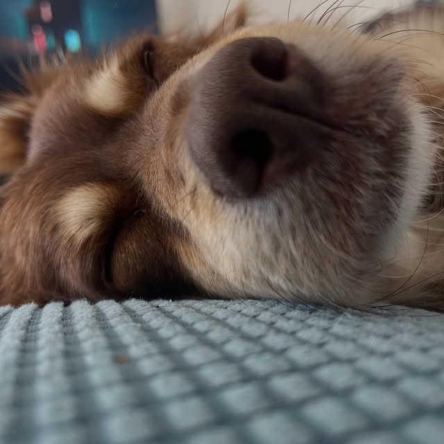  .....og2020   'recent posts' 