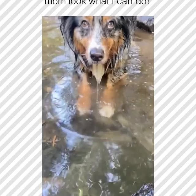  ......rposts   'recent posts' 