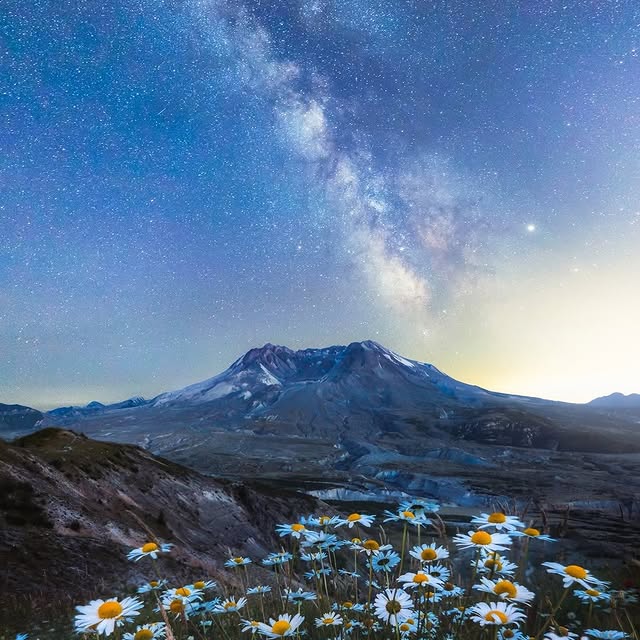  .......utevibes   'recent posts' 