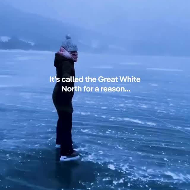  .....lsclub   'recent posts' 