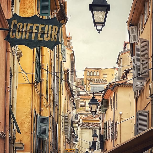  ......_viola   'recent posts' 