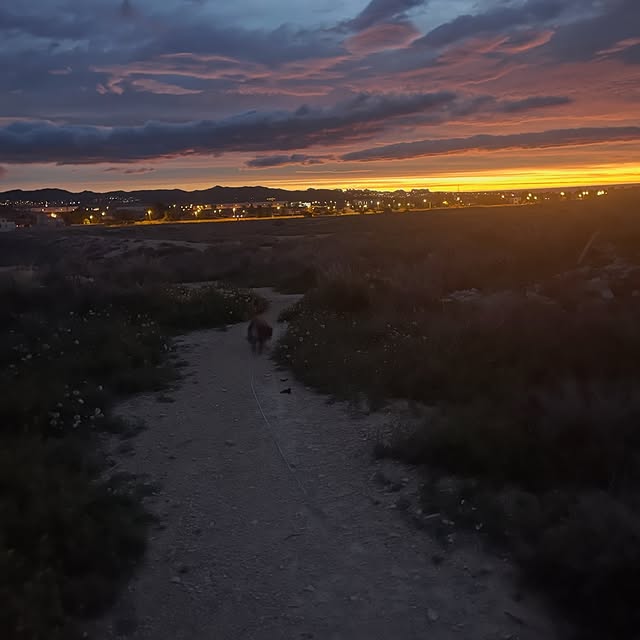  .....og2020   'recent posts' 