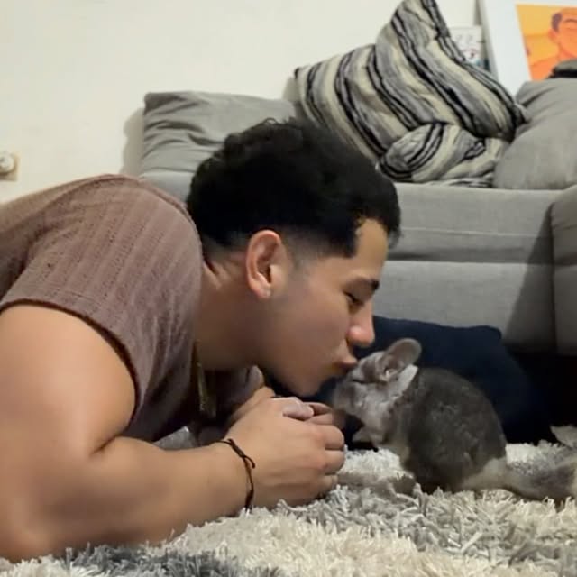  ........del_exito   'recent posts' 