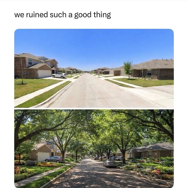  .....memes   'recent posts' 