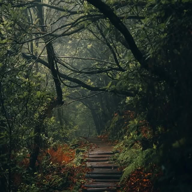  .......dbyfolk   'recent posts' 