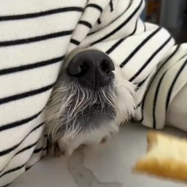  ....ofk9   'recent posts' 