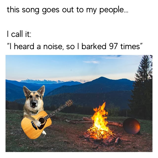  .....pawsz   'recent posts' 