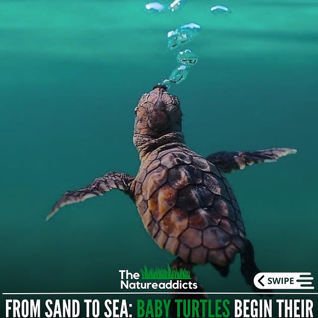  ........eaddicts   'recent posts' 