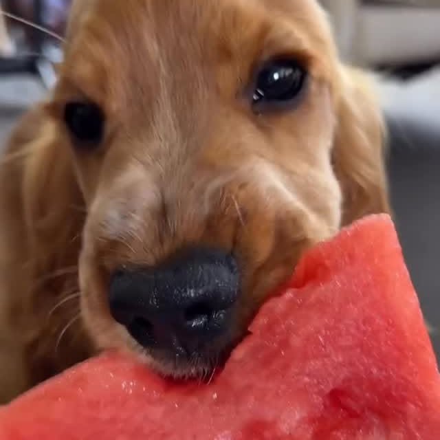  ......orable   'recent posts' 