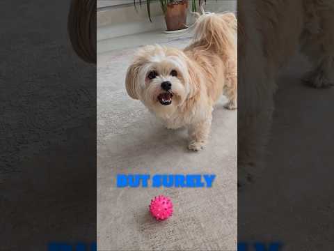  ..ni  'recent videos' 