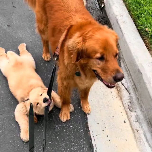  .......page_   'recent posts' 