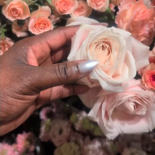  ..........llifestyle   'recent posts' 